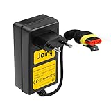Joiry 28V 1.3A Alimentatore Caricatore Adattatore Compatibile con Husqvarna Automower 105 305 310 315X 405X 415X 420 430X 2016-2022, Gardena 2016+/Sileno 2018+/Robot McCulloch Rob R1000 Tosaerba