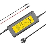 Joiry Caricabatterie 12V 10A LiFePO4, Caricabatterie 14.6V LiFePO4 Ferro Fosfato AC-DC Caricabatterie con protezione intelligente al 100% per la ricarica di batterie LiFePO4 da 12V